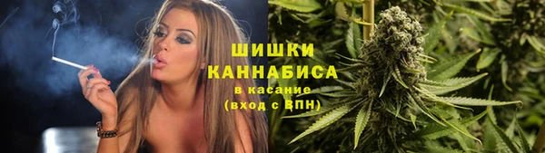 прущие грибы Гусиноозёрск