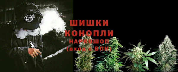 СК Гусь-Хрустальный