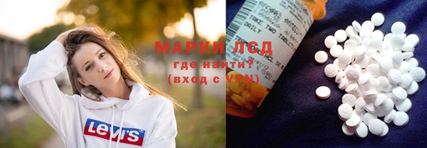 прущие грибы Гусиноозёрск