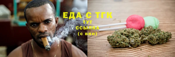прущие грибы Гусиноозёрск