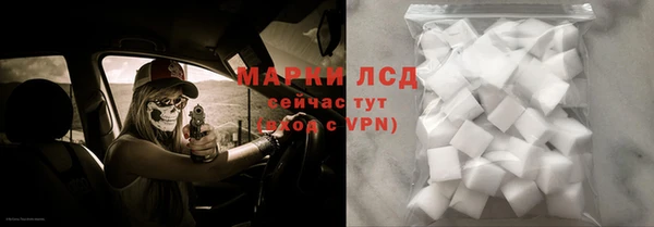 прущие грибы Гусиноозёрск