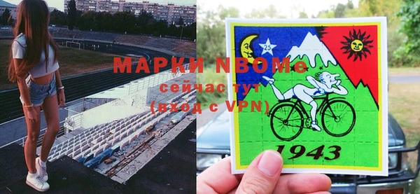 СК Гусь-Хрустальный