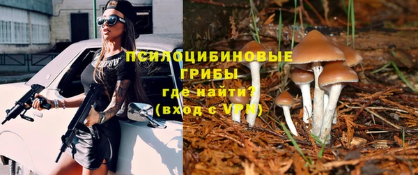 марки nbome Гусев