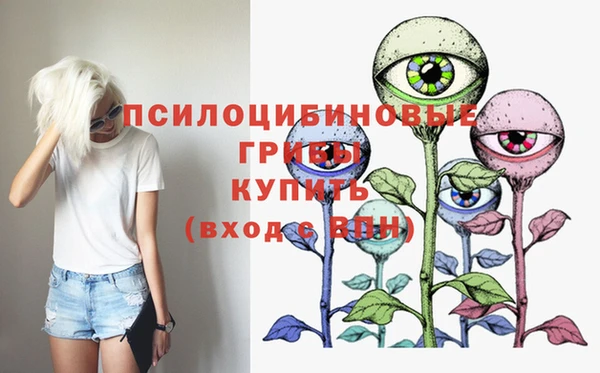 марки nbome Гусев