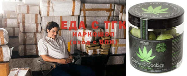 прущие грибы Гусиноозёрск