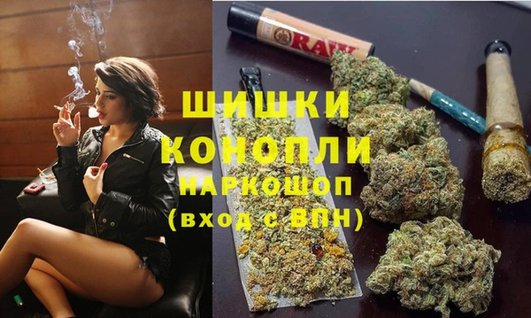 прущие грибы Гусиноозёрск