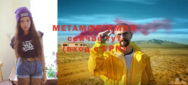 прущие грибы Гусиноозёрск