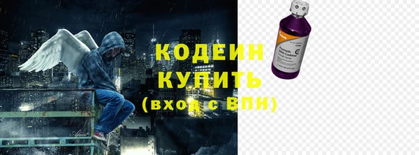 прущие грибы Гусиноозёрск