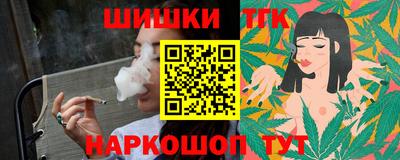 индика Кингисепп