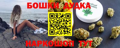 шишки Гатчина