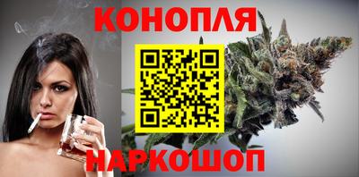 шишки Гатчина