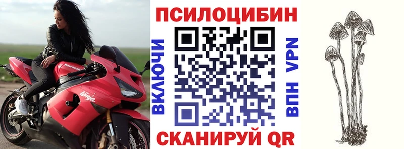 shop как зайти Заволжье Псилоцибиновые грибы мицелий
