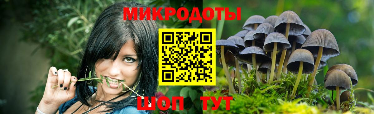 Галлюциногенные грибы ЛСД Заволжье