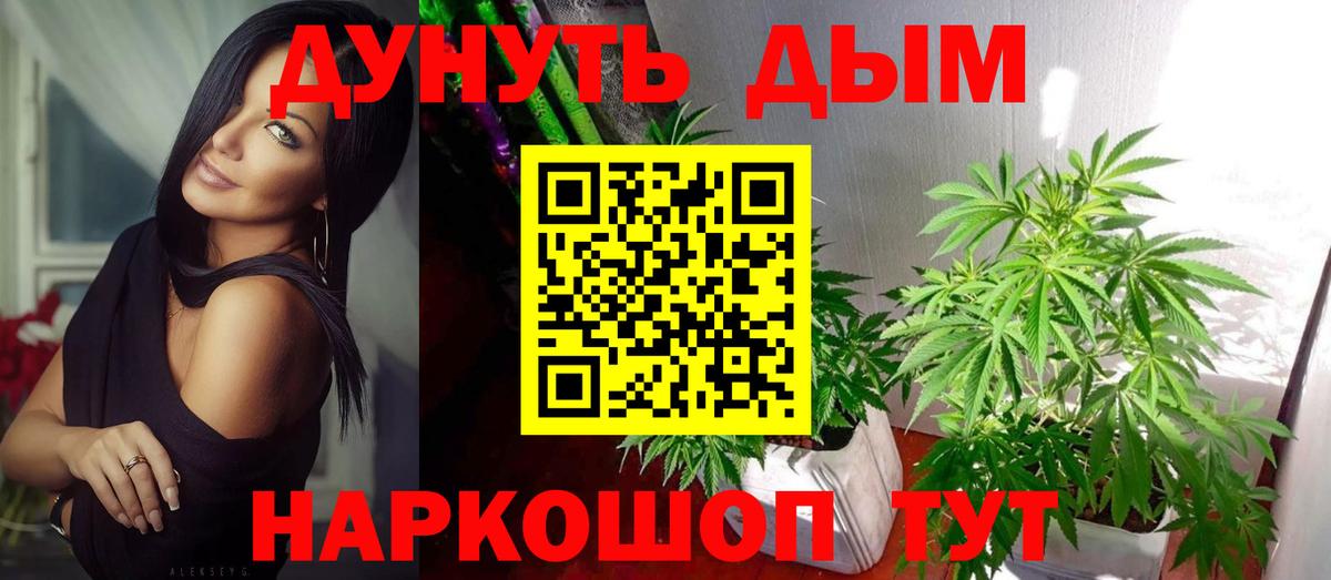 Заволжье  Марихуана планчик  Канабис Bruce Banner  Бошки марихуана марихуана  Вход с VPN 